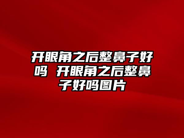 開眼角之后整鼻子好嗎 開眼角之后整鼻子好嗎圖片