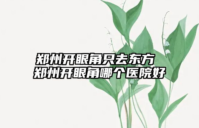 鄭州開眼角只去東方 鄭州開眼角哪個醫院好