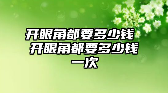 開眼角都要多少錢 開眼角都要多少錢一次